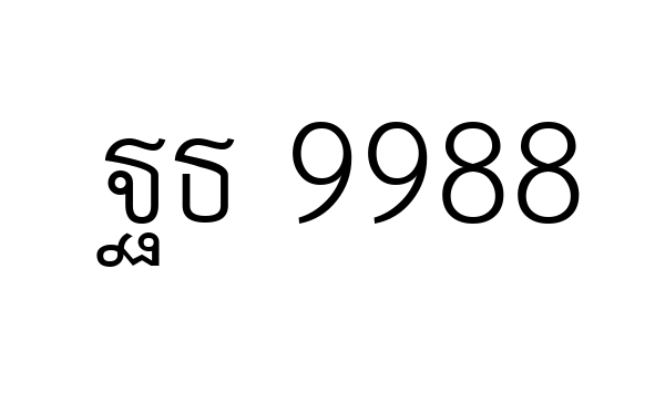 ฐธ 9988